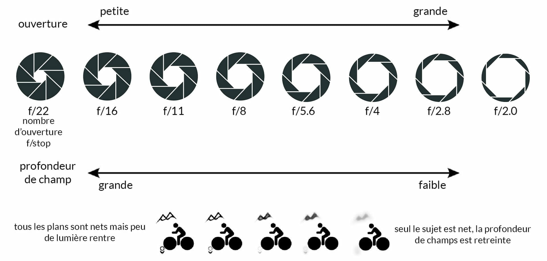 Choisir la Bonne Ouverture