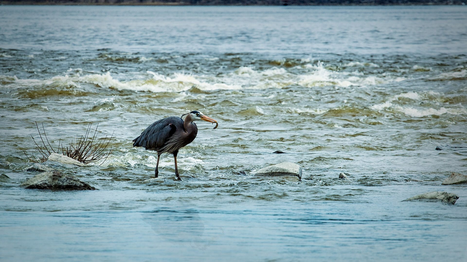 Découvre la Photographie par Drone au Québec