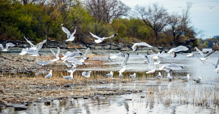 La vitesse d'obturation en photographie