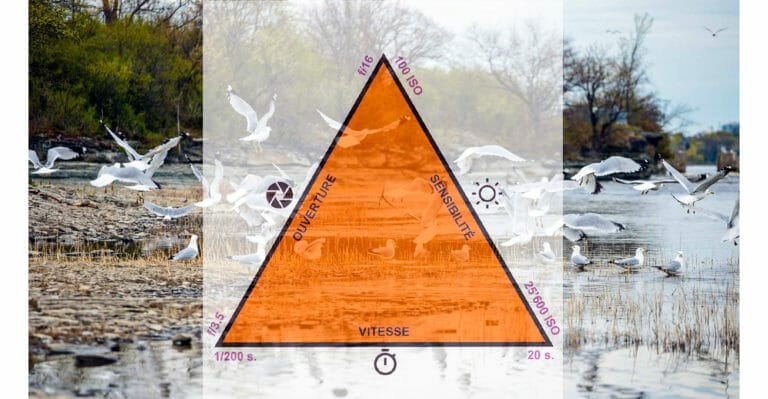 L’exposition en photographie «triangle»