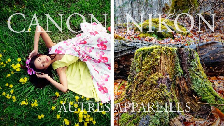 Canon vs Nikon : les différences de rendu des couleurs en photographie