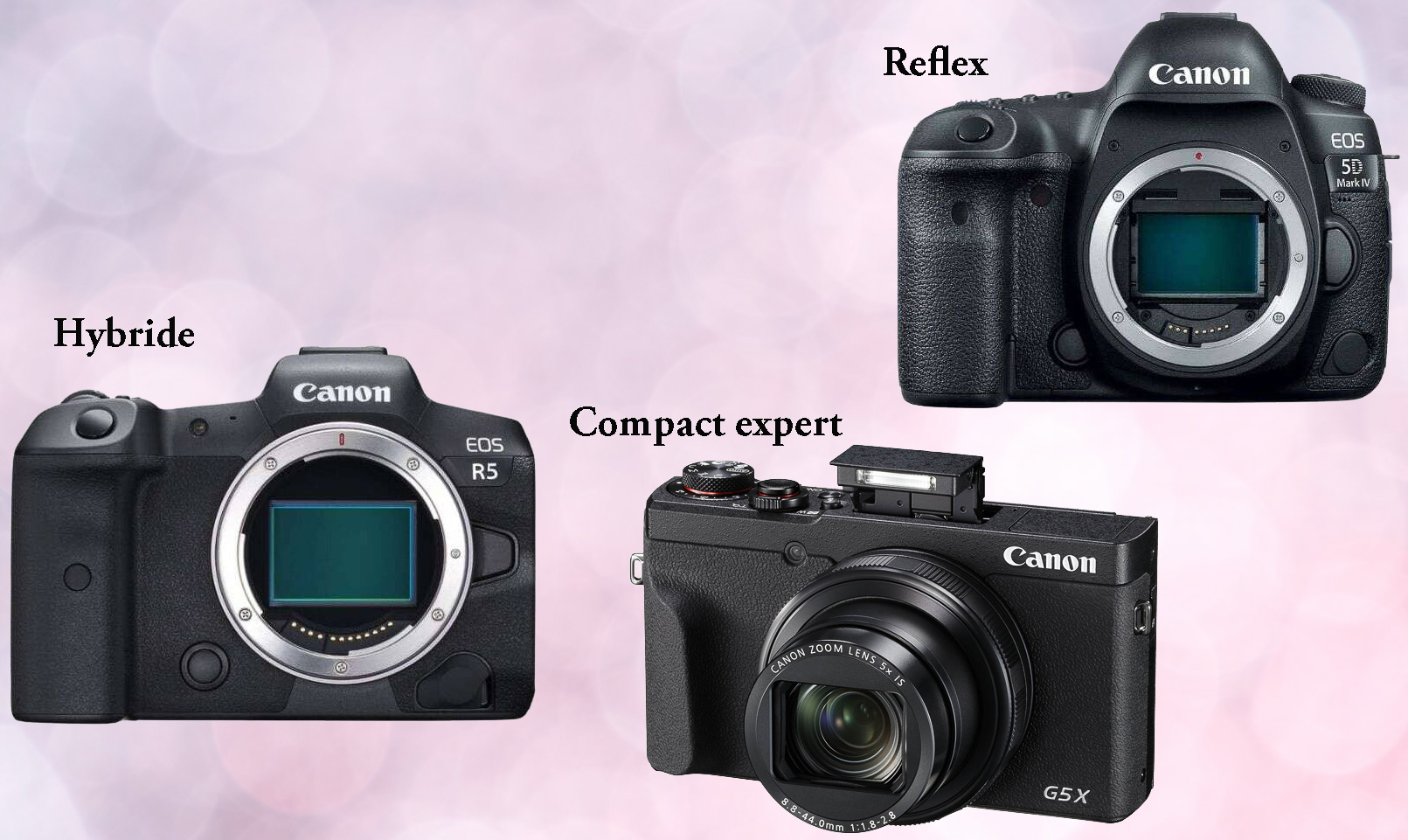 Choisir son Premier Appareil Photo