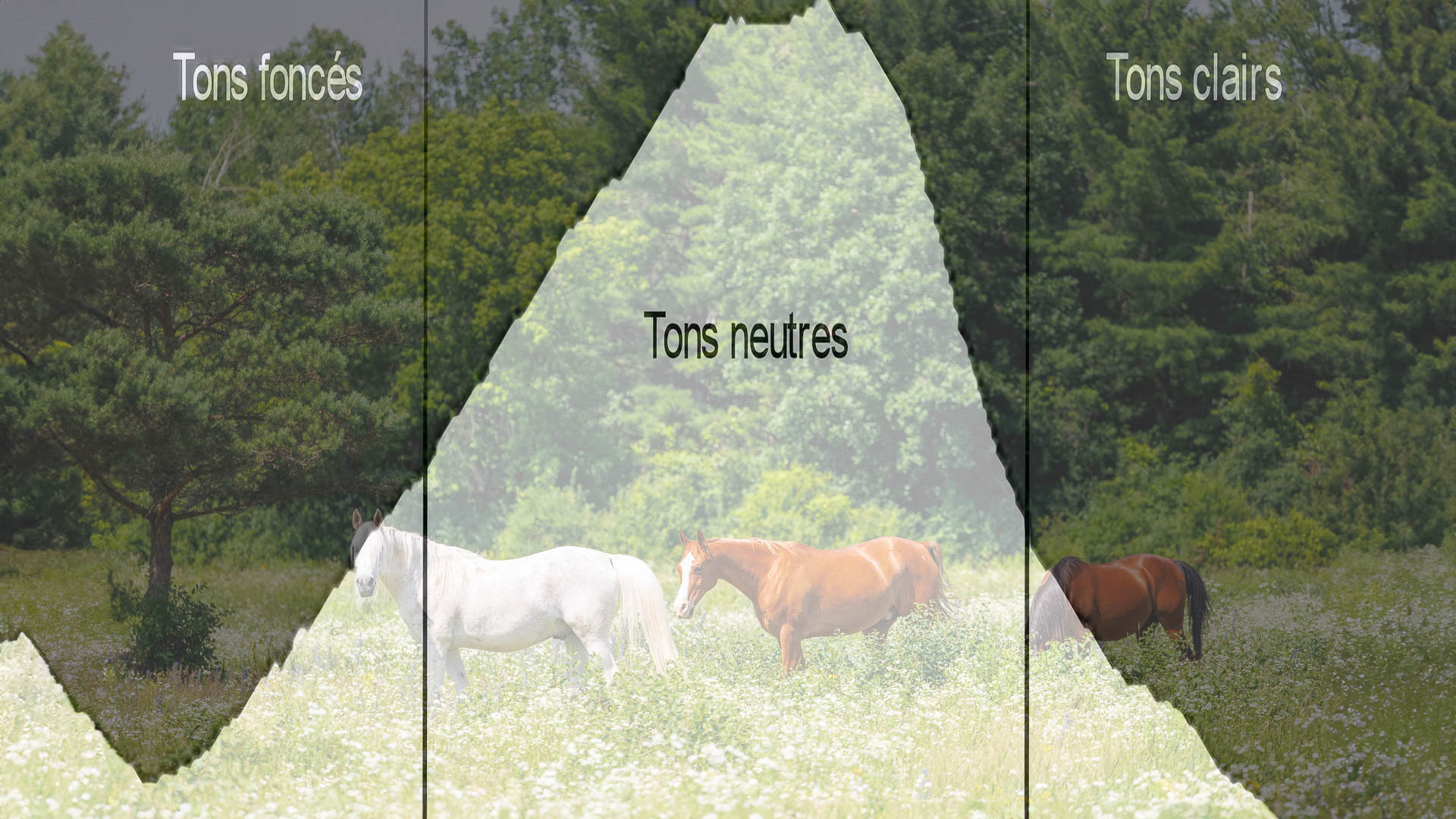 Comment critiquer une photo sans démolir le photographe