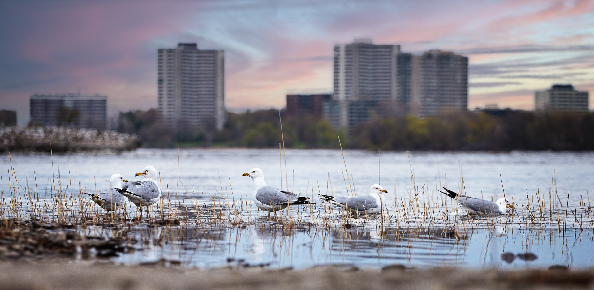 Comment critiquer une photo sans démolir le photographe-4