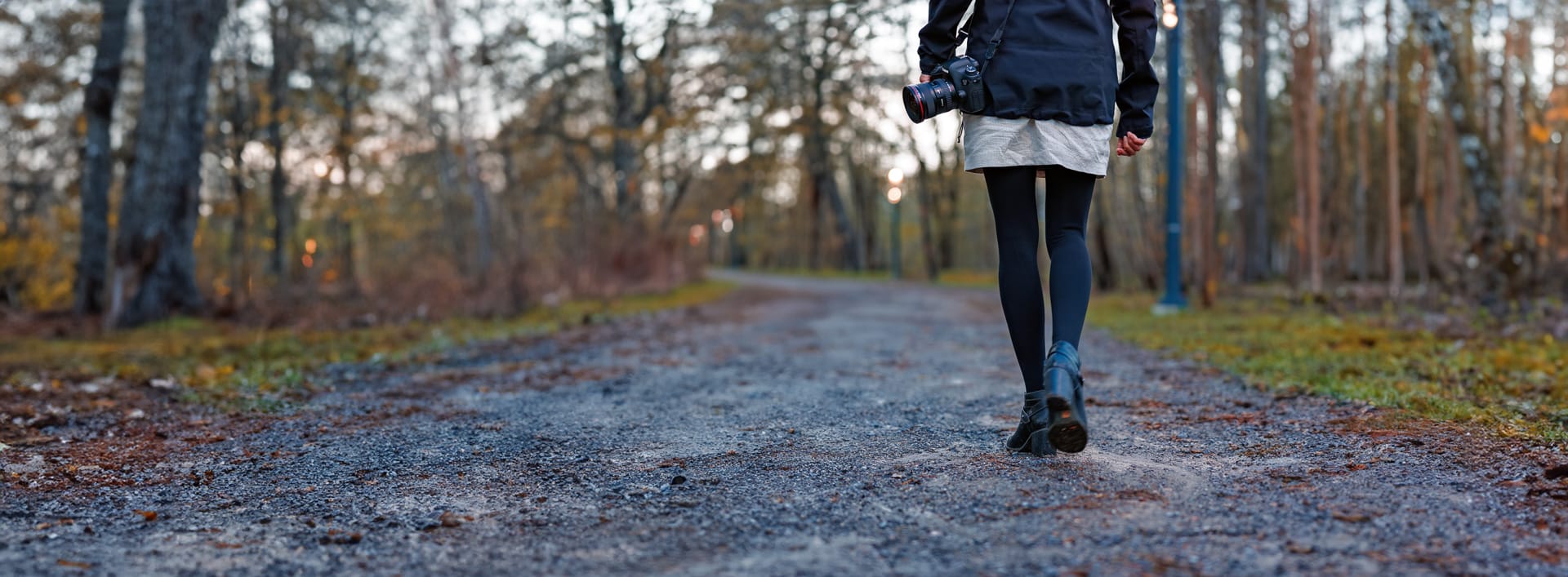 L'Art de la Photographie