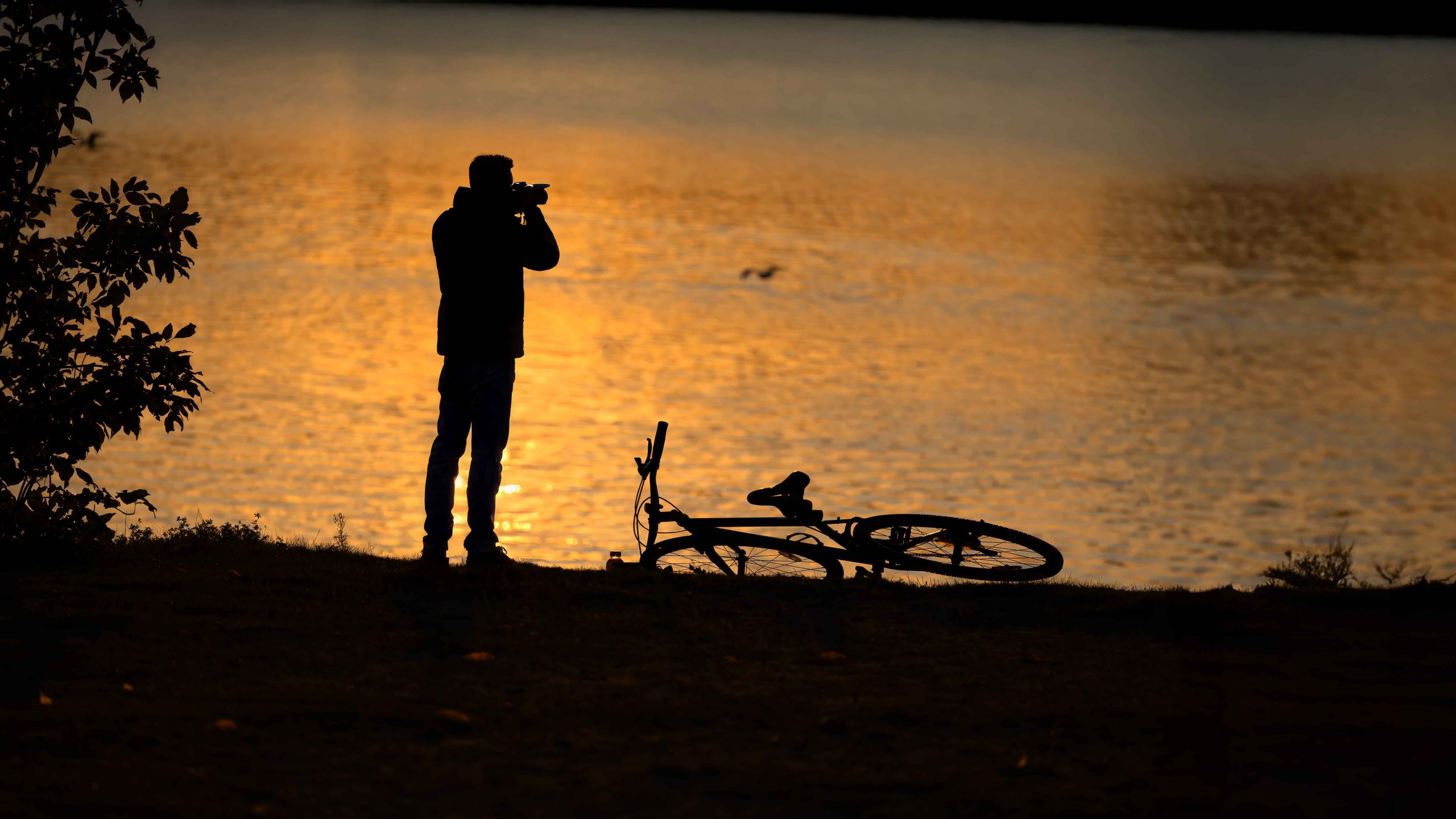 L'Intention Photographique