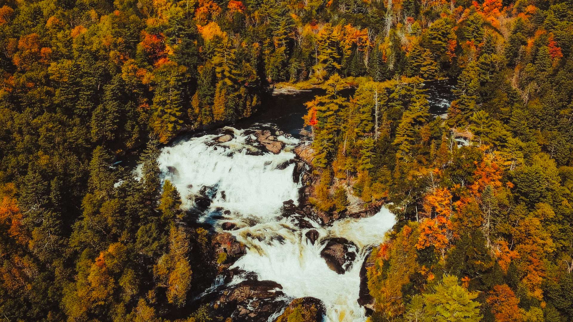 chute d'eau en longue exposition entourée de couleurs d'automne