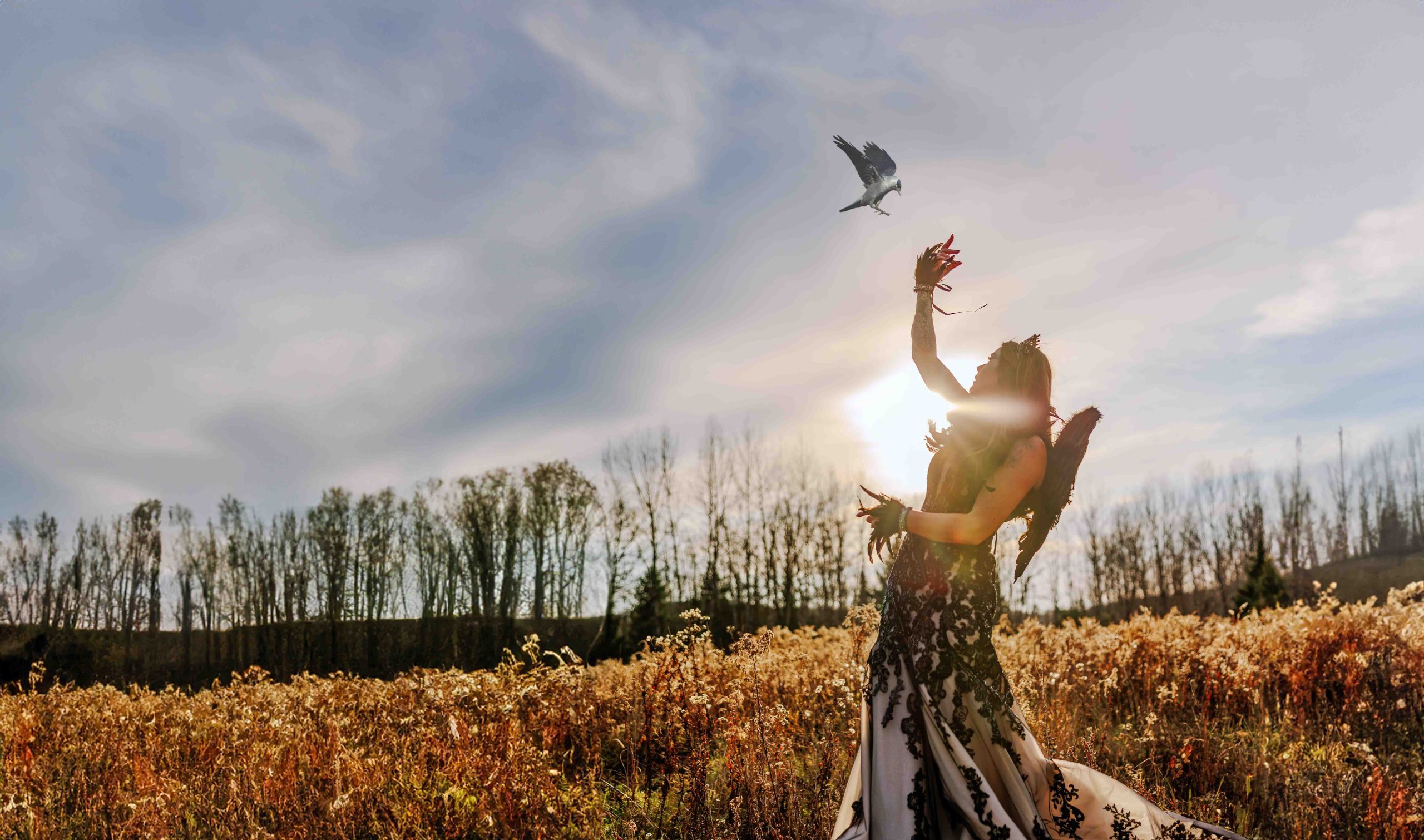Maîtrise technique et liberté artistique en photographie