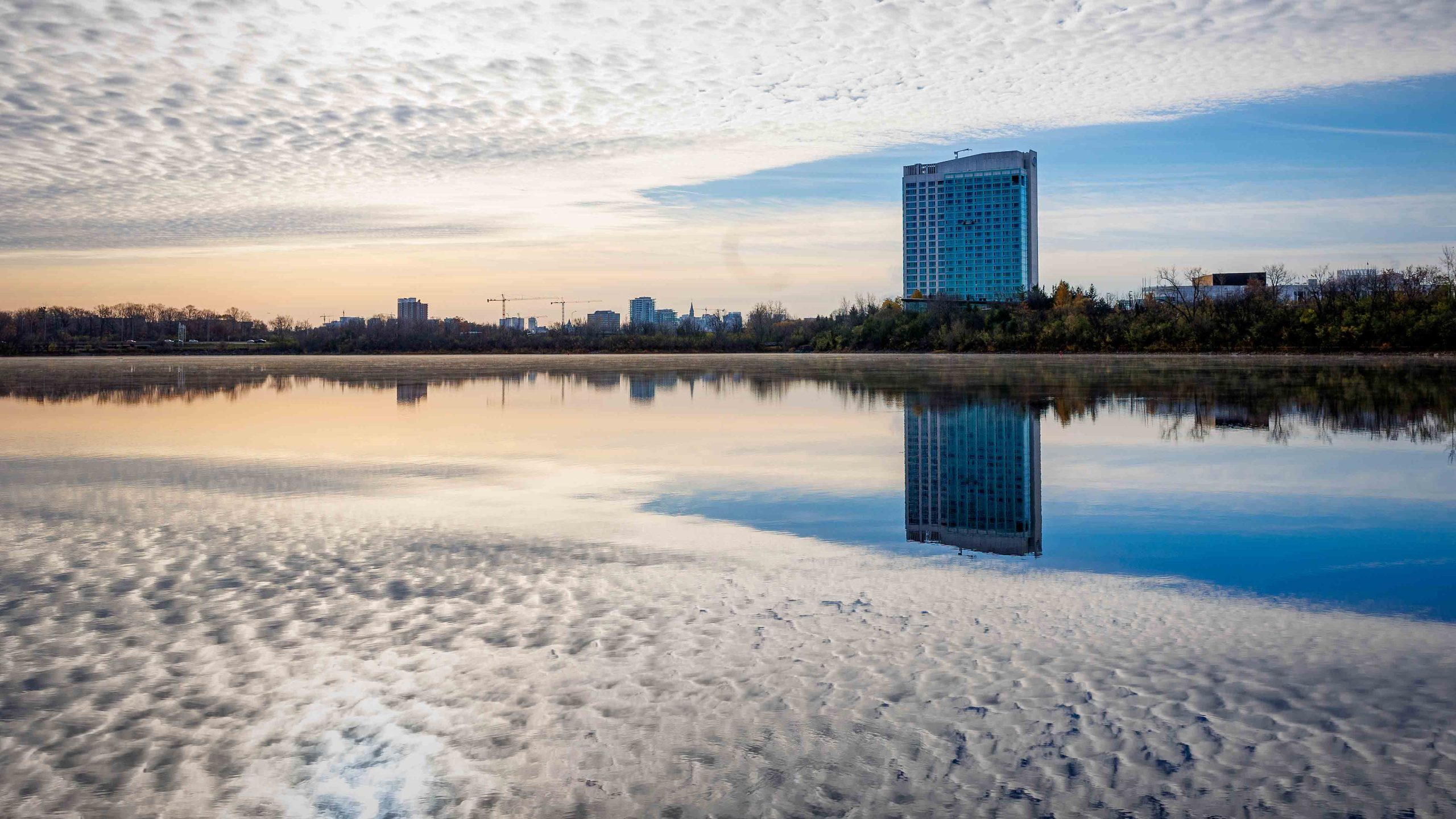 Maîtrise technique et liberté artistique en photographie
