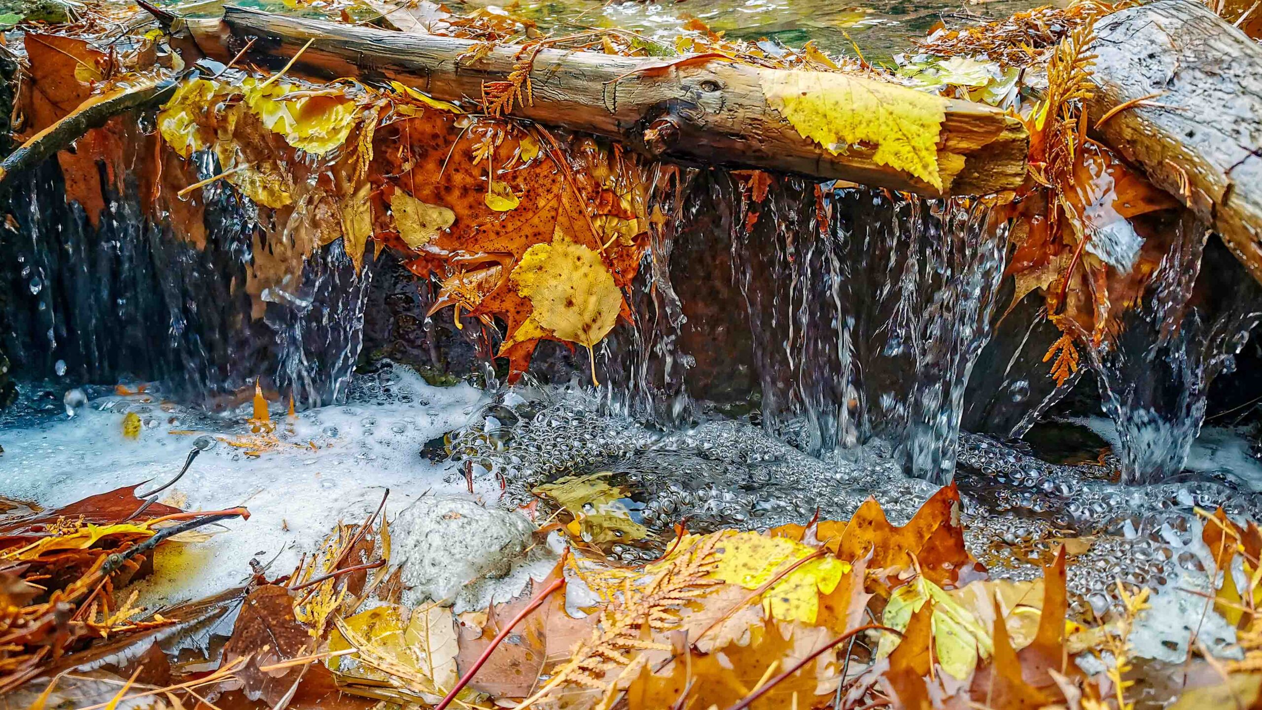 Photographier l'automne autrement