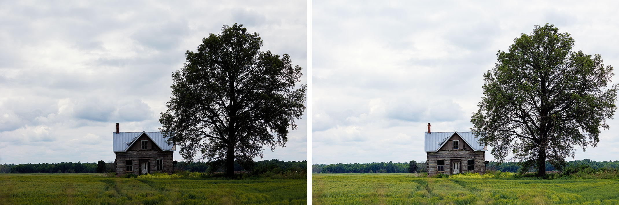 Posemètre en photographie