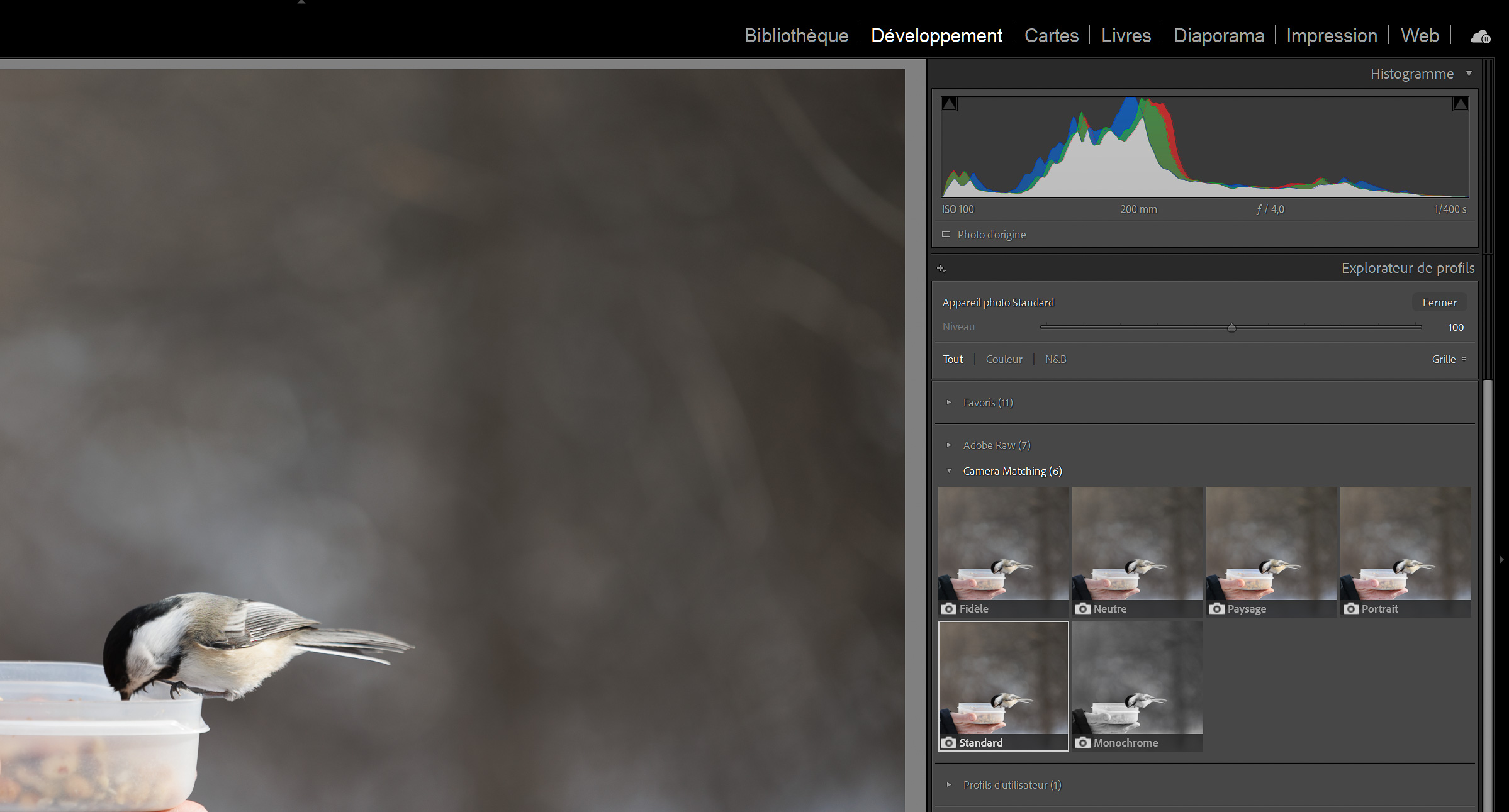 Profils Camera Matching dans Lightroom Classic - pourquoi tes RAW Canon semblent ternes à l'ouverture
