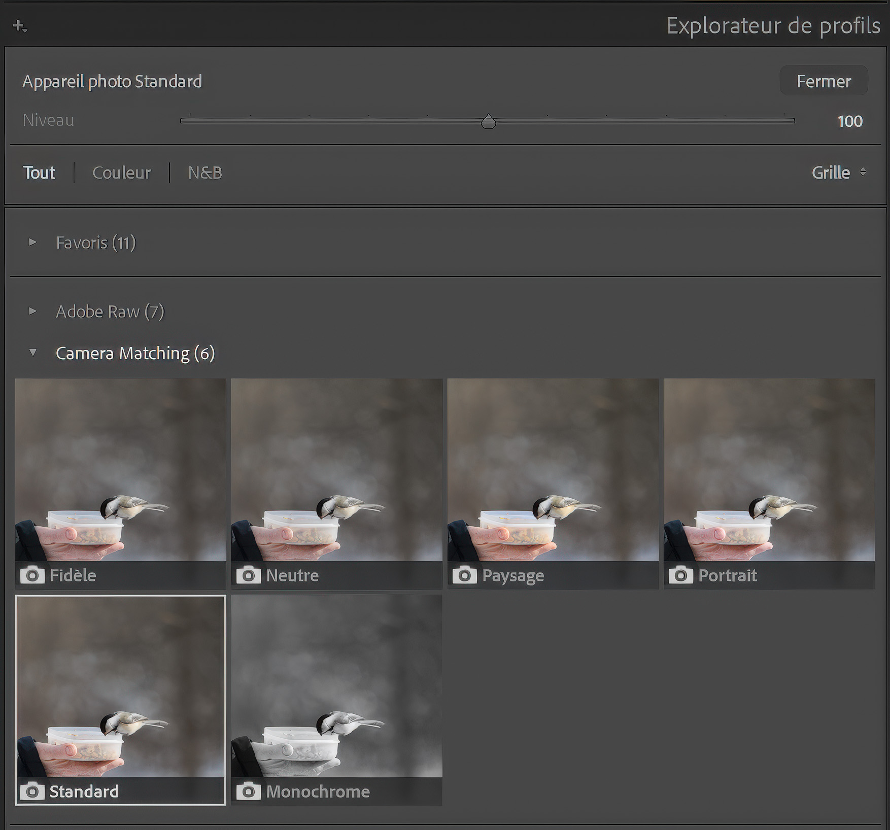 Profils Camera Matching dans Lightroom Classic - pourquoi tes RAW Canon semblent ternes à l'ouverture