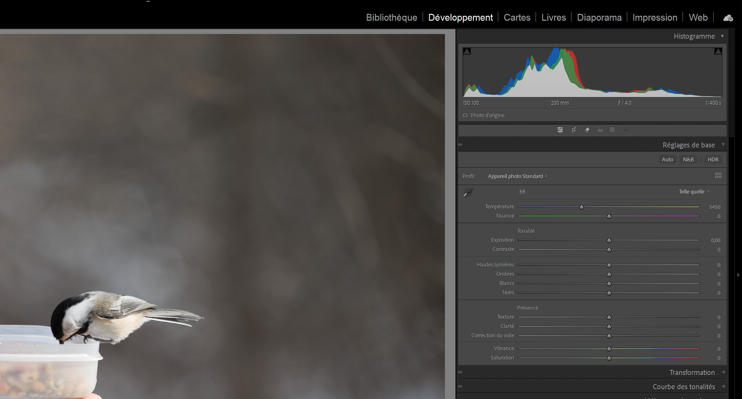 Profils Camera Matching dans Lightroom Classic - pourquoi tes RAW Canon semblent ternes à l'ouverture