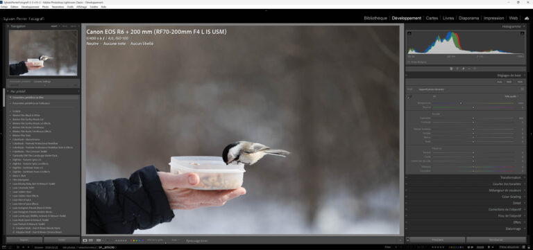 Profils Camera Matching dans Lightroom Classic - pourquoi tes RAW Canon semblent ternes à l'ouverture