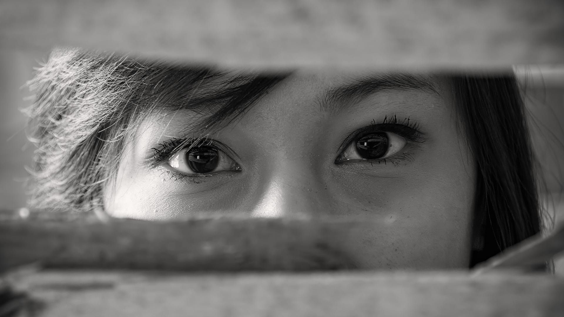 Dans l’œil de Sylvain - Exploiter les Lignes Directrices