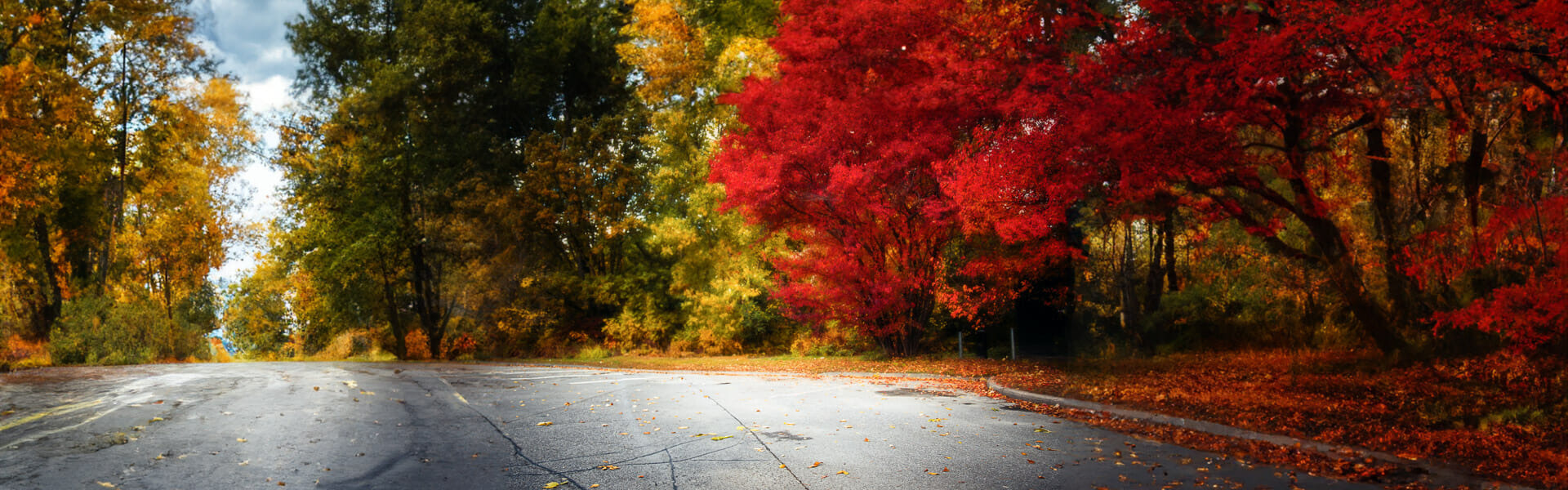 Comment améliorer tes photos d'automne