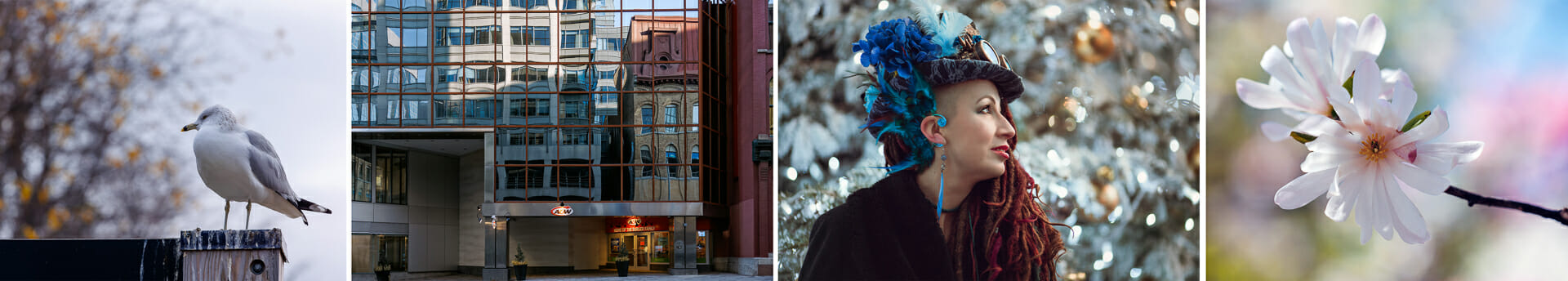 Comment choisir son style en photographie