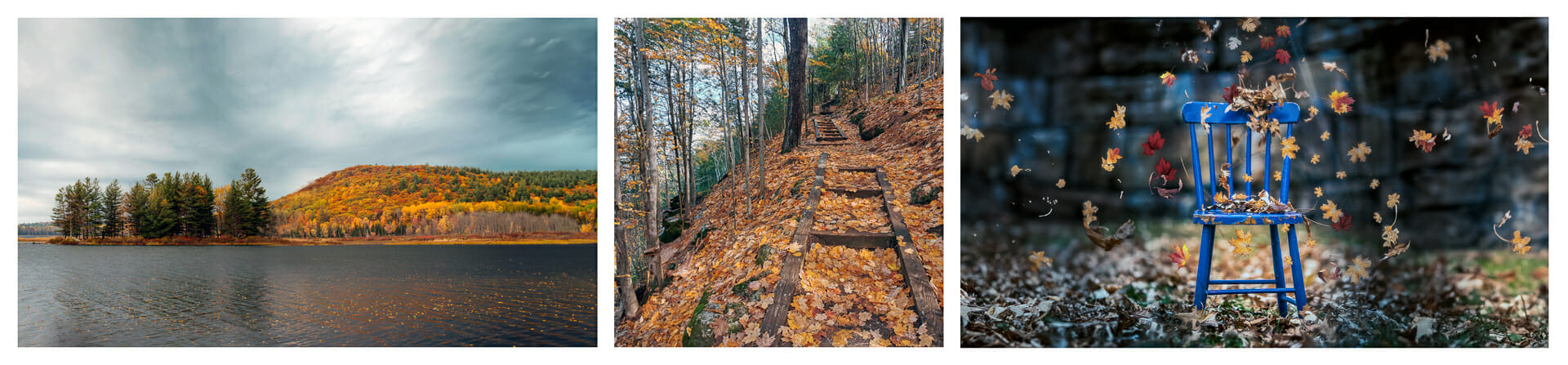 Comment améliorer tes photos d'automne