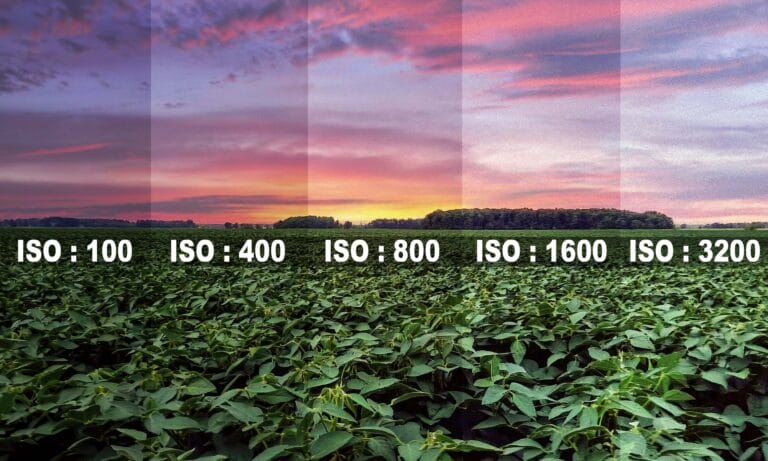 L&rsquo;Essentiel sur l&rsquo;ISO en photographie