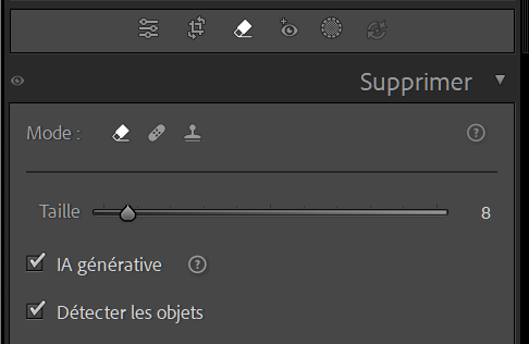 Panneau de l'outil Supprimer de Lightroom Classic avec la case Utiliser l'IA générative.