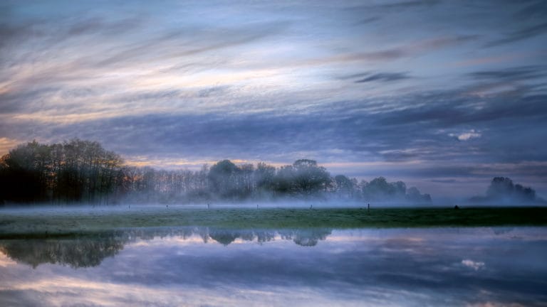 L&rsquo;importance de la Lumière Naturelle en Photographie
