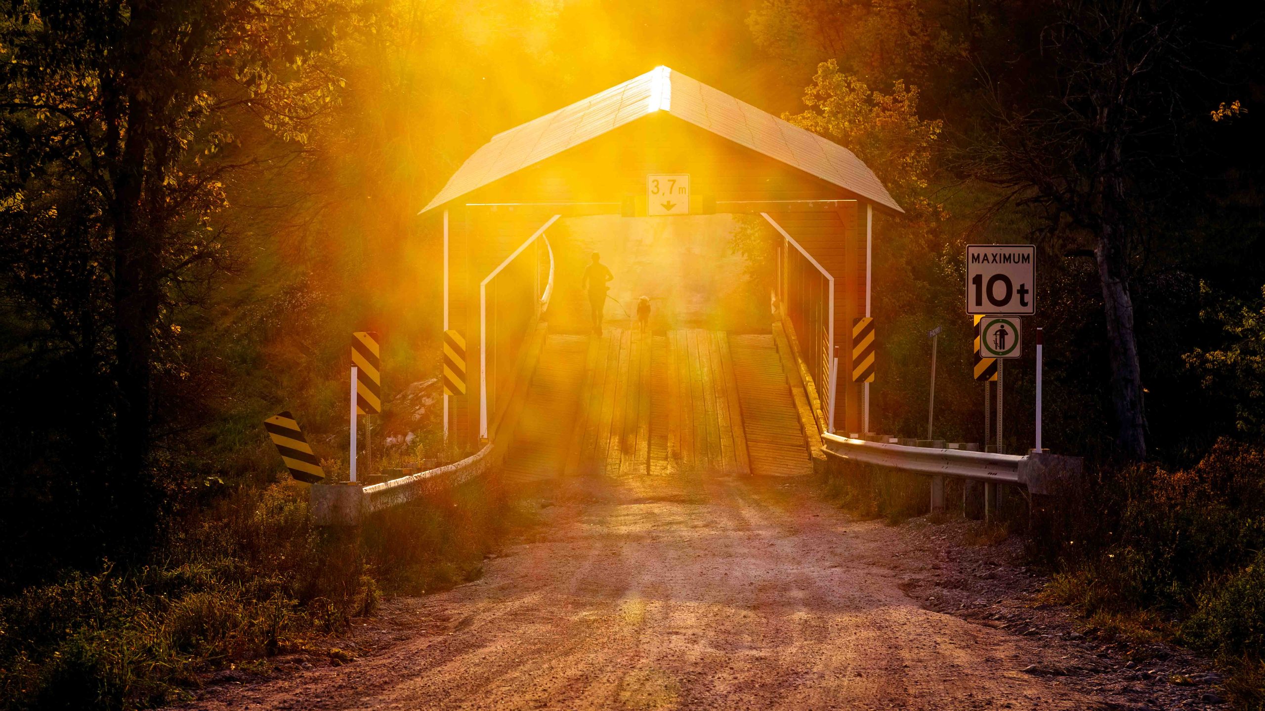 lumiere-optique-photographie-pont-couvert-chelsea