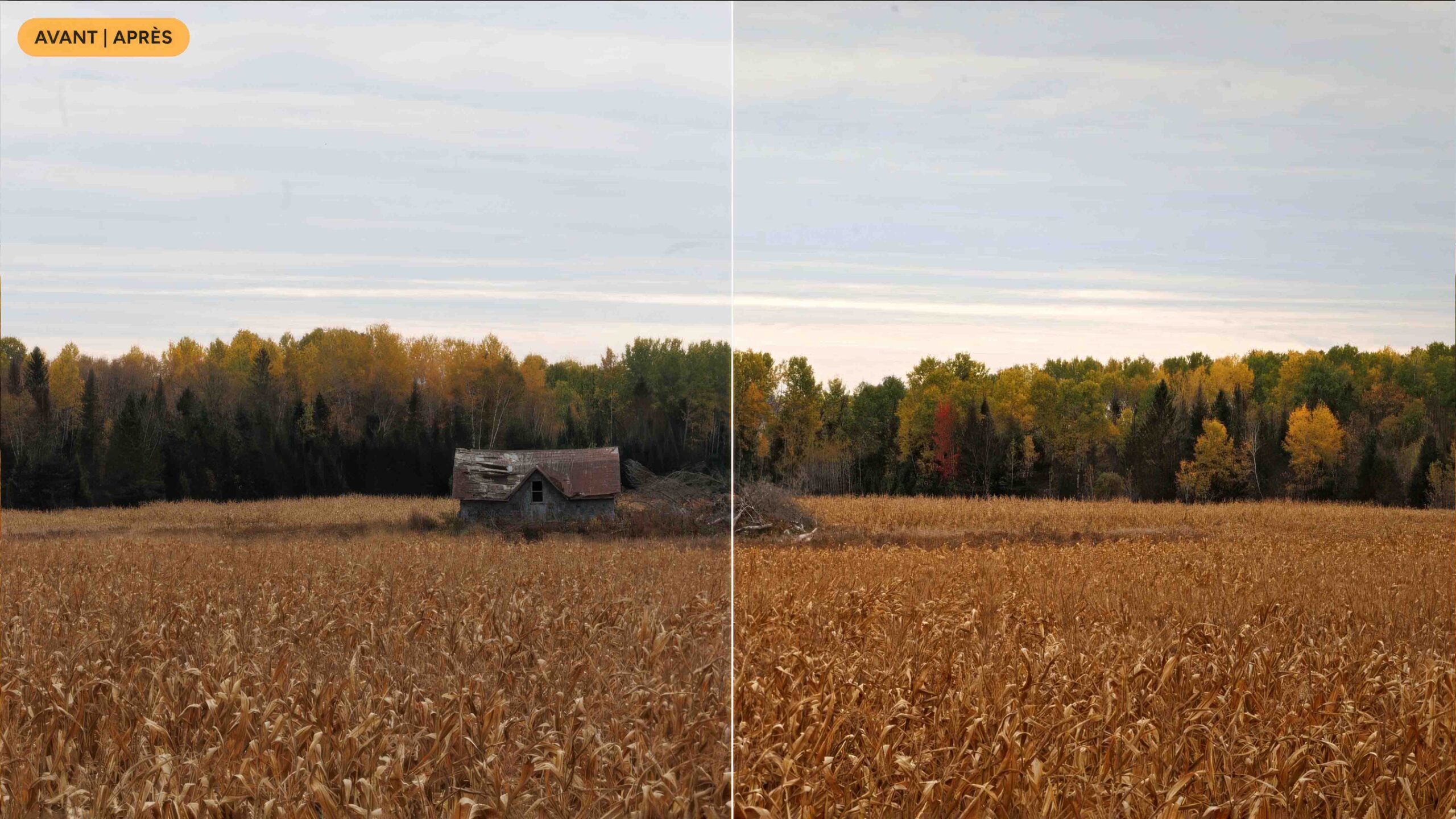 Comparaison côte à côte de la photo avant et après retouche dans le Mini-Labo Photo