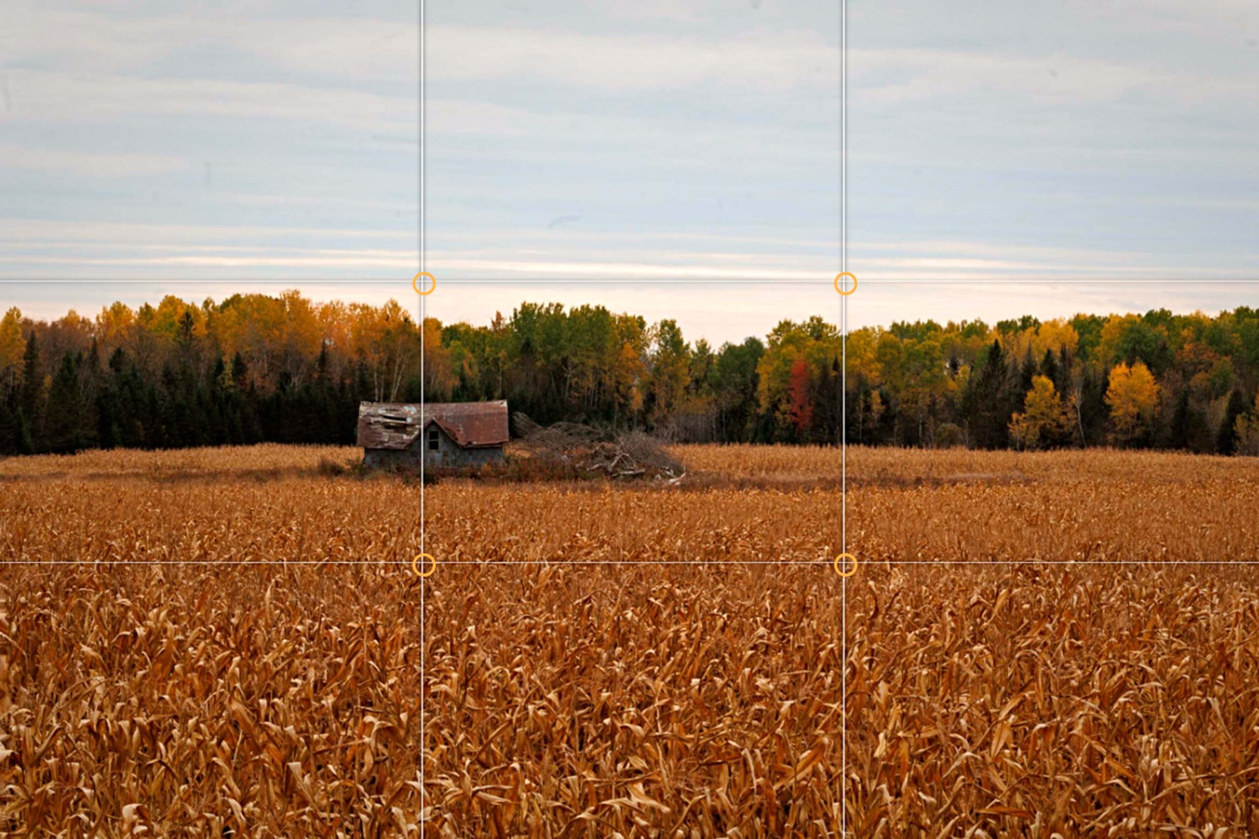 La grille des tiers sur une photo de grange dans un champ, dans le Mini-Labo Photo.