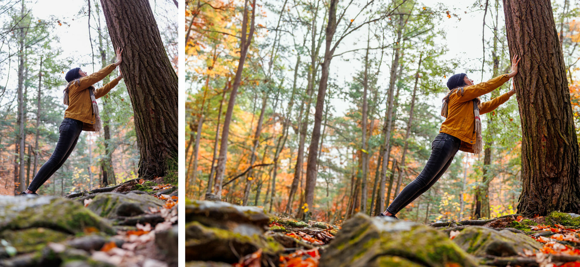 Quelle est la différence entre le photographe amateur et le professionnel ?