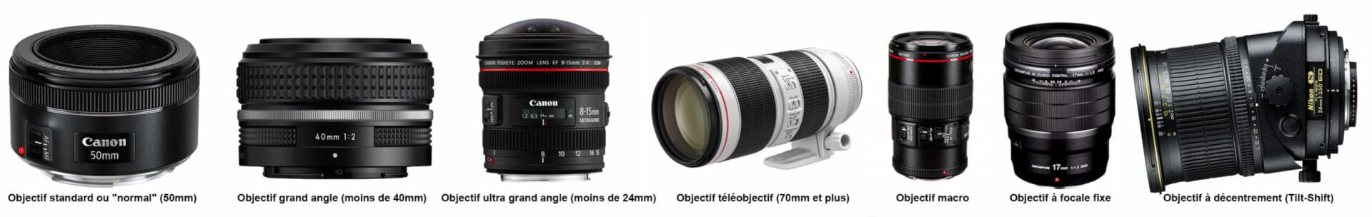 Trouver la lentille parfaite pour votre vision artistique